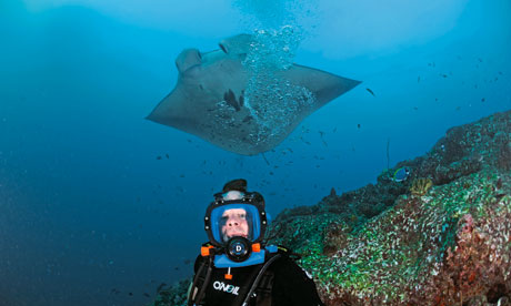 Manta ray and Hugh Fearnley-Whittingstall