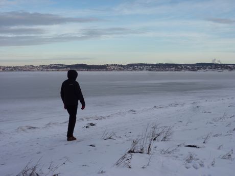 bay