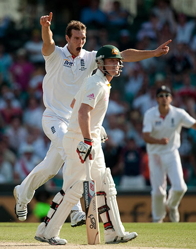 Ashes day four: England's Chris Tremlett celebrates dismissing Australia's Brad Haddin