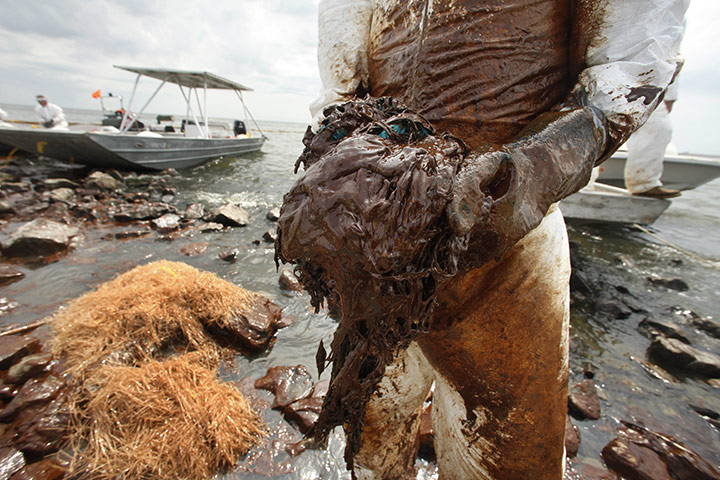 Business week in pictures: A clean-up worker picks up blobs of oil in Plaquemines Parish