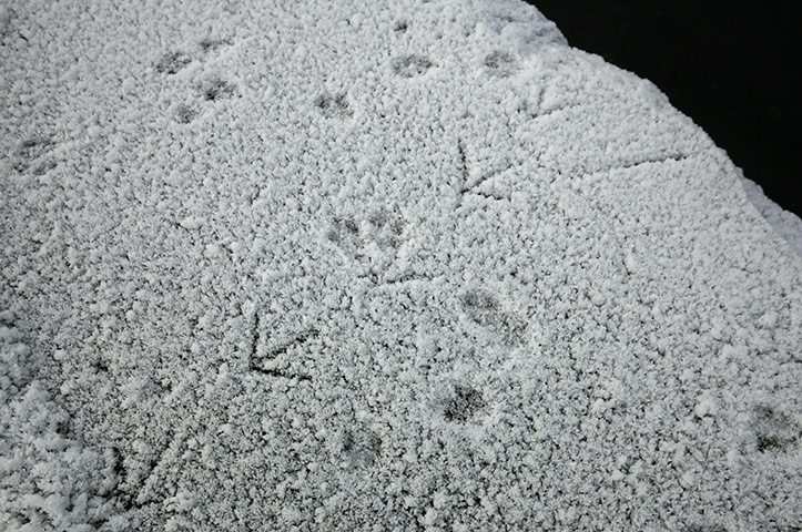 Haiti by night: Daily Bucket