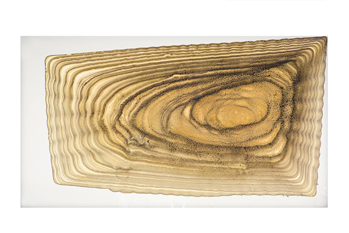 Exhibitionist0801: Invisible Dust