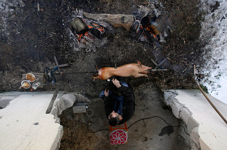 24 hours in pictures: Bosnian Serb man prepares a roasted pig