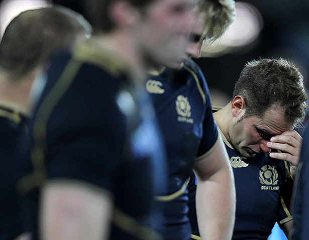 England v Scotland: Dan Parks is in tears after England beat Scotland in the Rugby World Cup