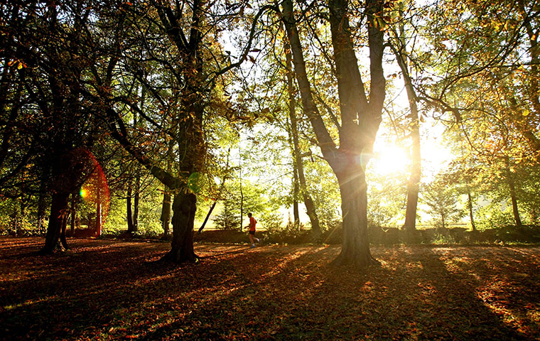 Weather: Autumn weather October 1st