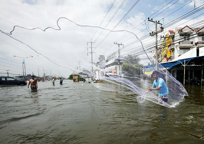 Flooding in Thailand: A man casts a fishing net in a flooded area