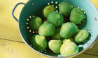 http://www.articlesbase.com/food-and-beverage-articles/