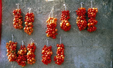 Tomatoes-Italy-005.jpg