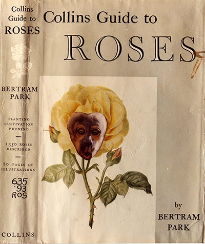 Joe Orton exhibition: Collins Guide to Roses by Bertram Park