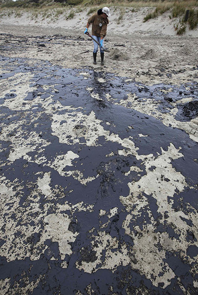 Rena oil spill: Aon Papamoa Beach near Tauranga , New Zealand