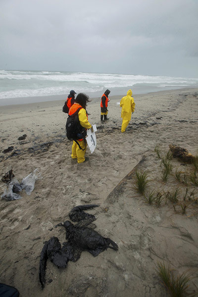 Rena oil spill: on Papamoa Beach near Tauranga , New Zealand