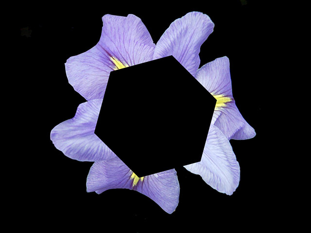 Exhibitionist1510: Anna Barham