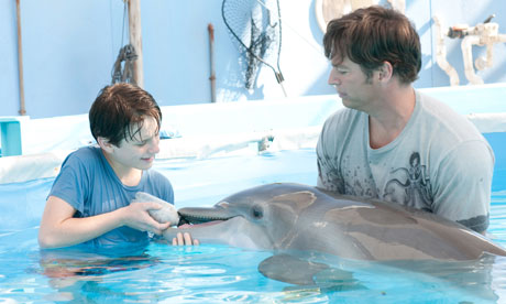 Dolphin Tale still