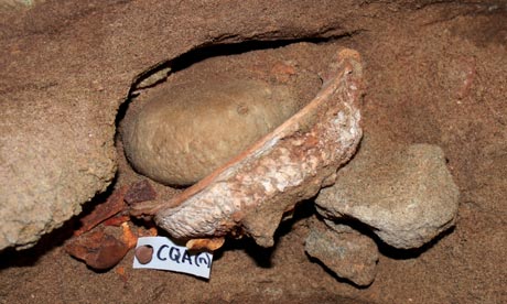 A 100,000-year-old Stone Age painting kit, including sea snail shell for mixing and storing pigments, found in the Blombos cave. Photograph: Science/AAAS