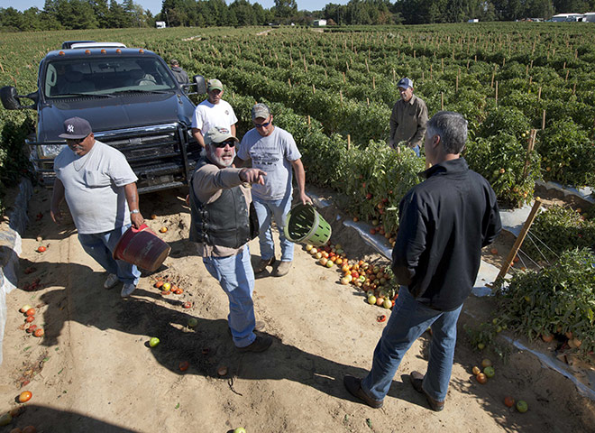 Alabama immigration: Tomato farmer Leroy Smith talks with State Senator Scott Beason