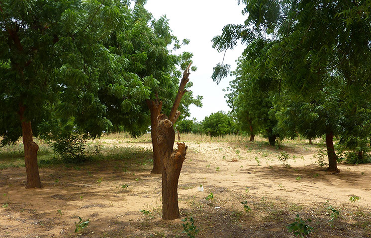 Week in wildlife: so-called 