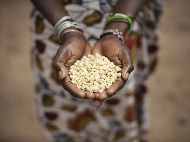 Blog Action Day: Blog Action Day in Turkana, Kenya