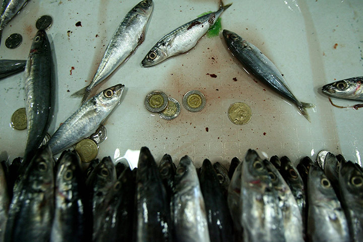 24 hours in pictures: Quezon City, Philippines: Fish and coins on a fishmonger's table