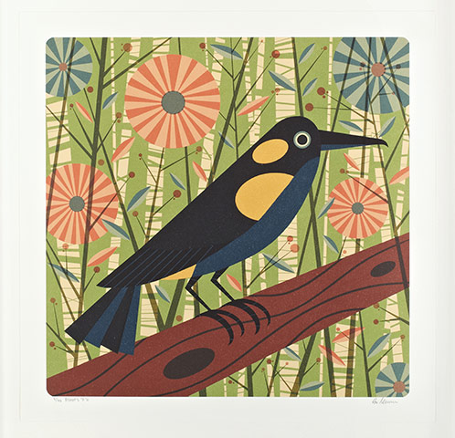 Ghosts of Gone Birds: Bishop’s O’o’