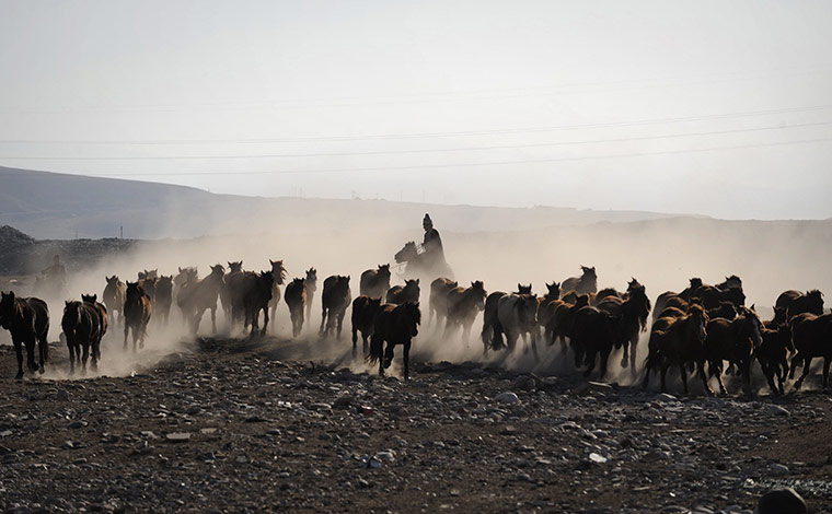 24 Hours: Herdsmen ride on horses as they direct a herd of horses in Gongliu