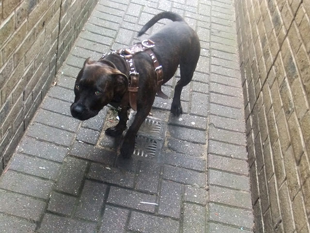 knifecrime campaign: Photovoice knifecrime campaign