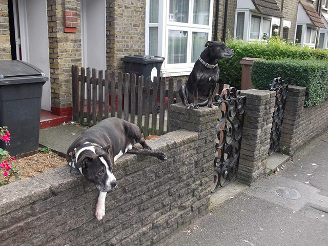 knifecrime campaign: Photovoice knifecrime campaign