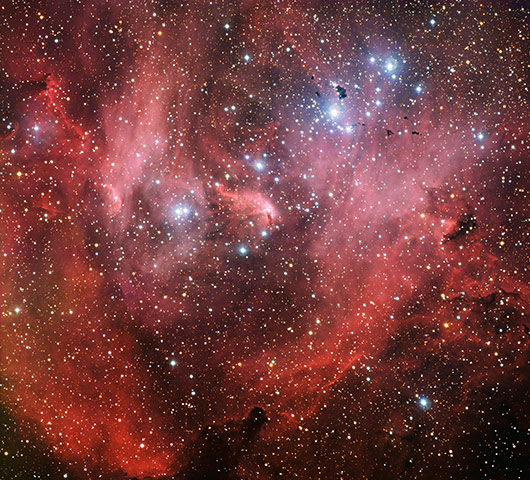 Month in space: Running Chicken Nebula
