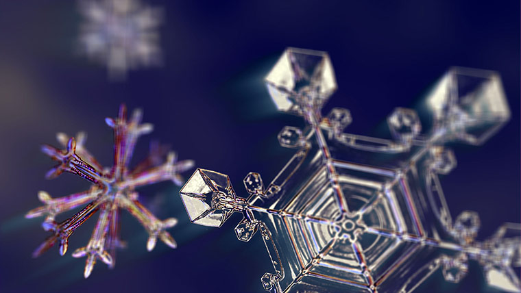 Frozen Planet: Frozen Planet