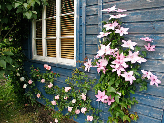 Food awards: The Cheese Shed