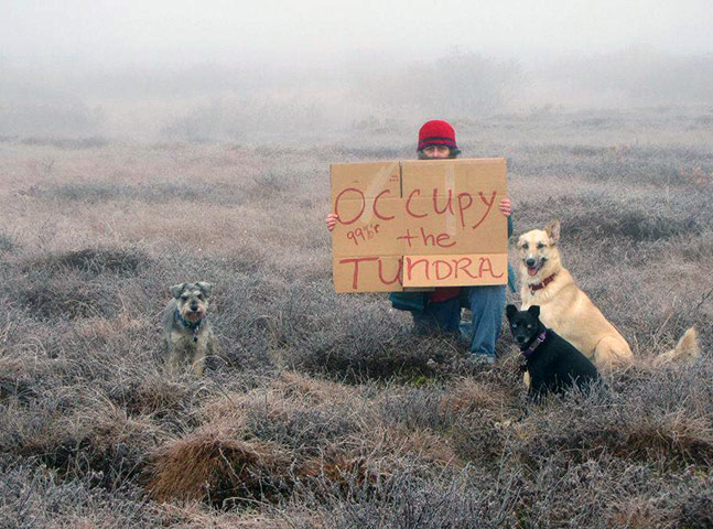Occupy protests: Occupy the Tundra protest