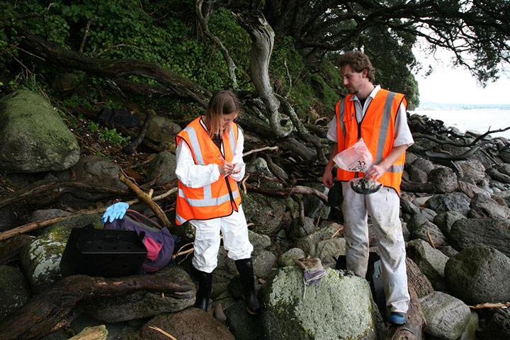 Rena oil spill: Birds and  penguins rescue operations on beaches in Turanga