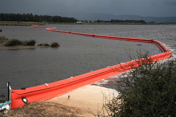 Rena oil spill: Birds and  penguins rescue operations on beaches in Turanga