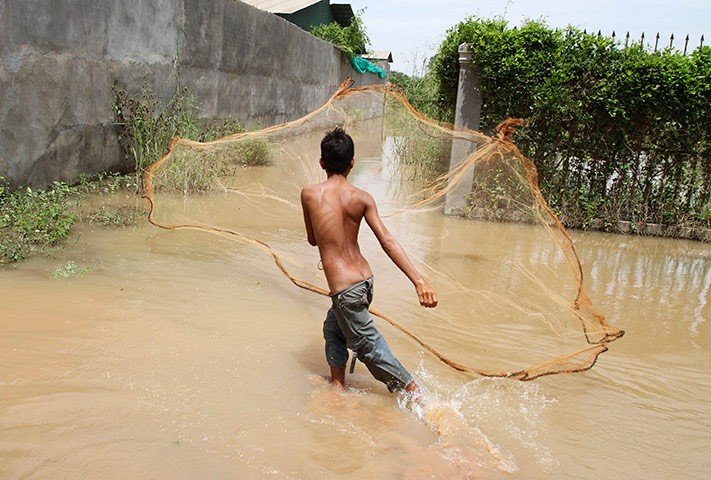 Cambodia floods: A boy casts a fishing net into flood waters on a street in Kandal 