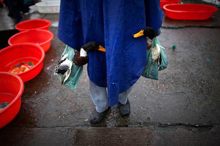 24 hours in pictures: A man carries ducks he bought at a roadside market in Hangzhou, China