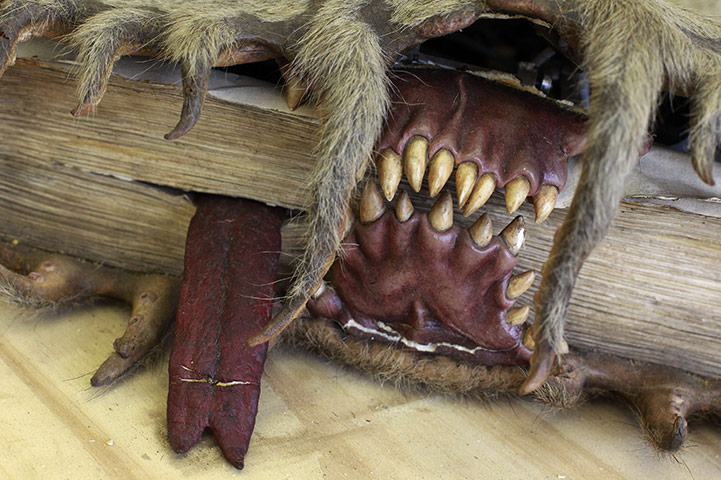 Harry Potter exhibition : Harry Potter exhibition