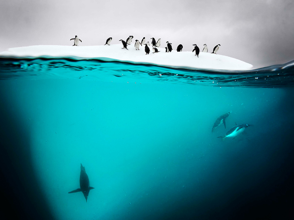 Danko-Island-Antarctica-004.jpg