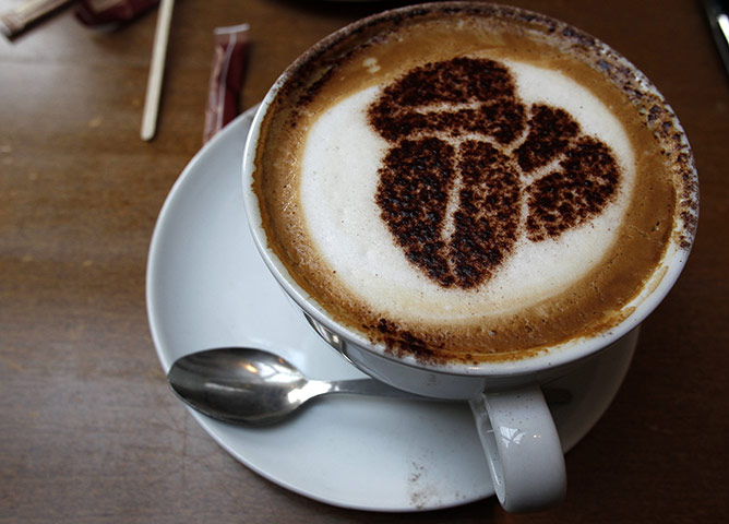 Week in Business: A cup of cappuccino stands on a table in Costa coffee in Knutsford