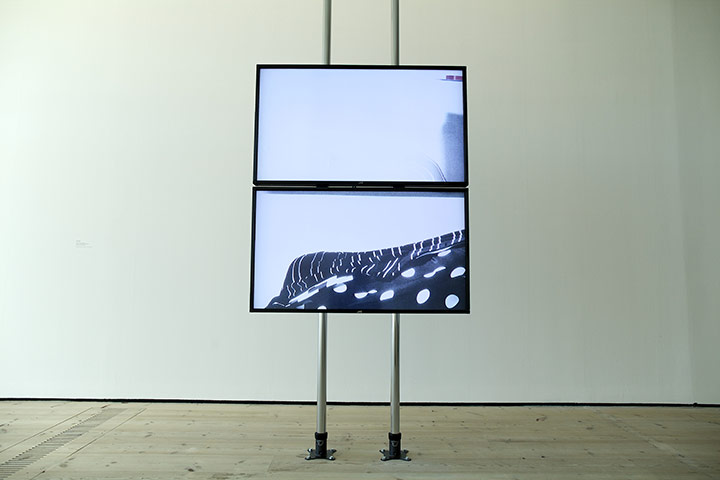 Turner Prize: Turner Prize exhibition