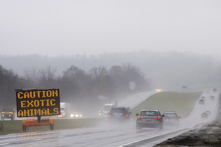 Week in wildlife: Police Hunt Down Dozens Of Exotic Animals On Loose From Wildlife Preserve