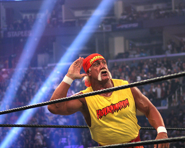 Moustaches: Hulk Hogan