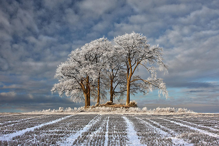 Landscape photographer: Winter Field