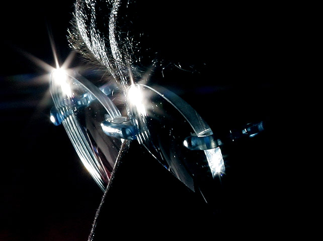 Sven-Goran Eriksson: Sven Goran Eriksson speaks during a news conference at Champney's Springs