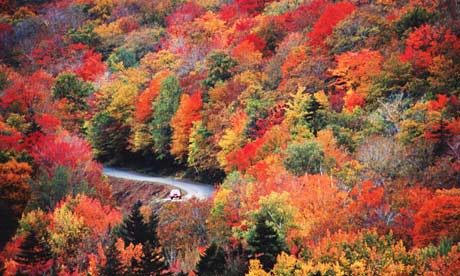 New England washington road