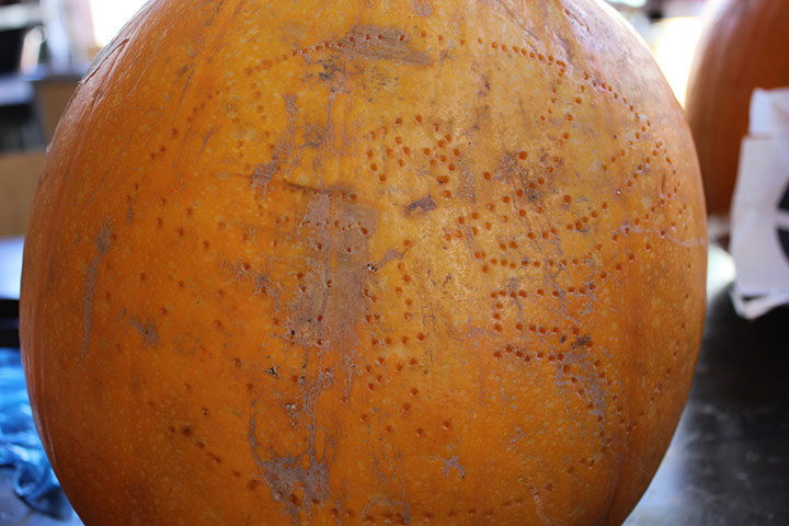 Halloween pumpkin carving: Halloween pumkin carving 6