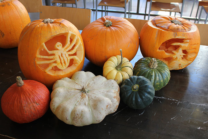 Halloween pumpkin carving: Halloween pumkin carving 10