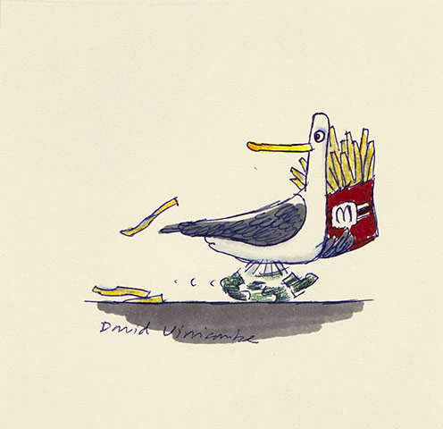 Aardman auction: This is an original hand drawn biro and pen sketch of a seagull