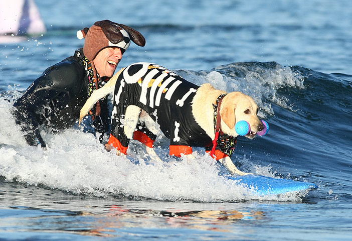Halloween surfing: Halloween Surfing in California
