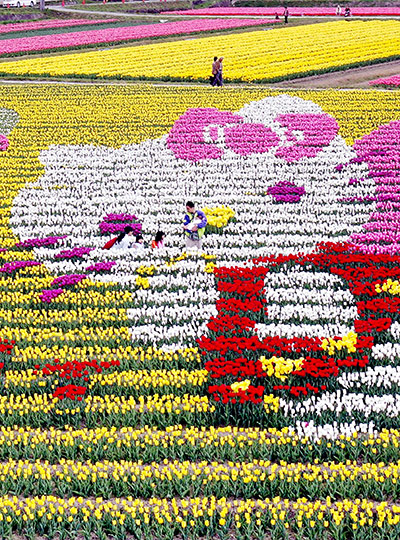 Hello Kitty: A large Hello Kitty is sculpted out of flowers at the annual tulip festival