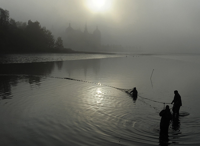 24 hours: Moritzburg, Germany: Fishermen bring their nets out for fish harvesting