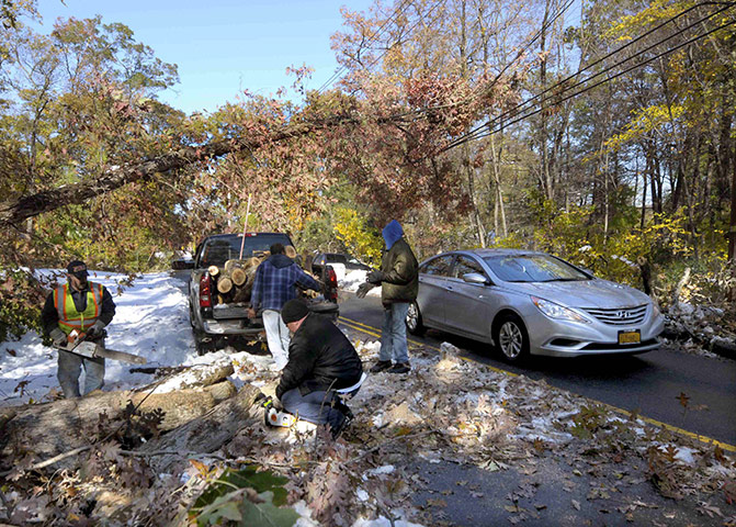New York state snowstorm: Workers cut up a fallen tree